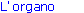 L' organo